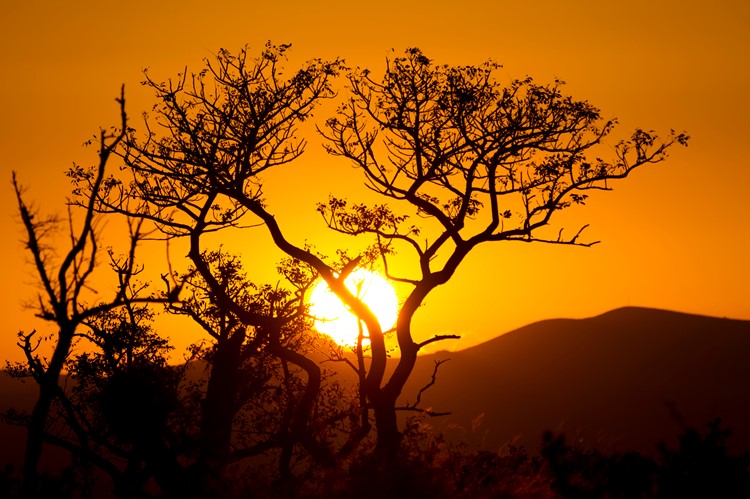 Zonsondergang in Hluhluwe-iMfolozi Park, Zuid-Afrika